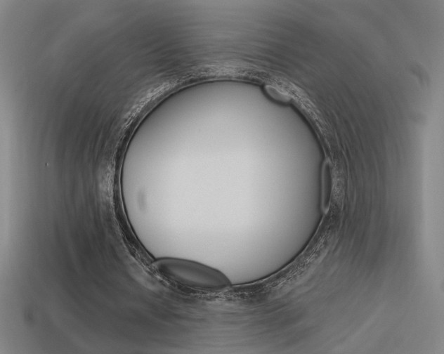 X0000114700434200910211012