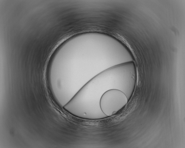 X0000114700435200910211012