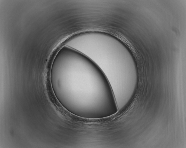 X0000114700436200910211012