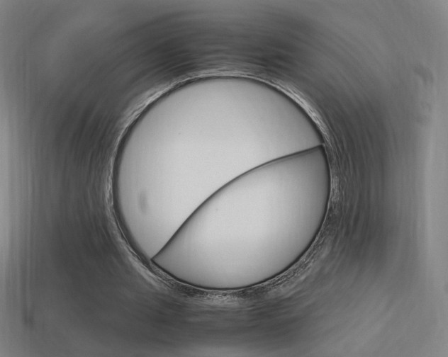 X0000114700437200910211012