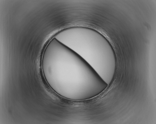 X0000114700438200910211012