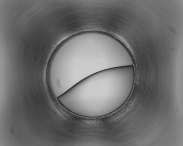 X0000114700439200910211012