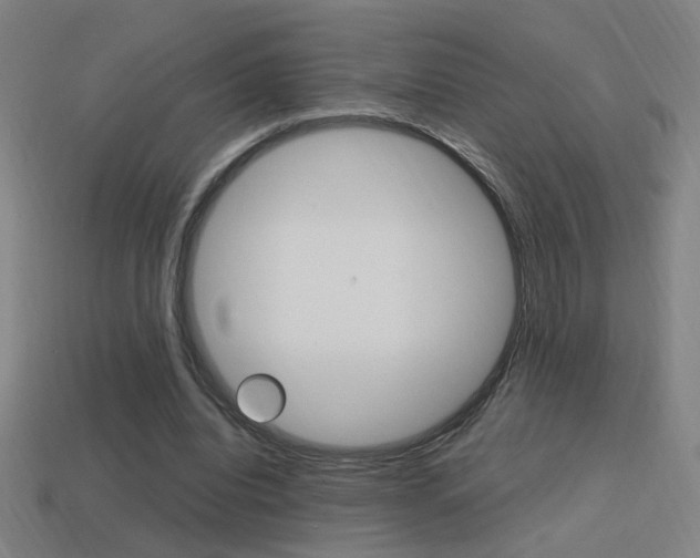 X0000114700440200910211012