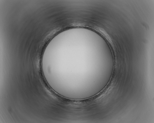 X0000114700441200910211012