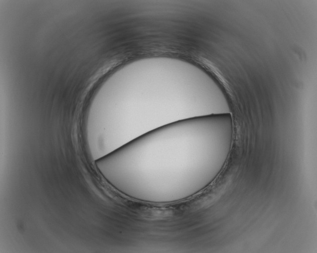 X0000114700443200910211012