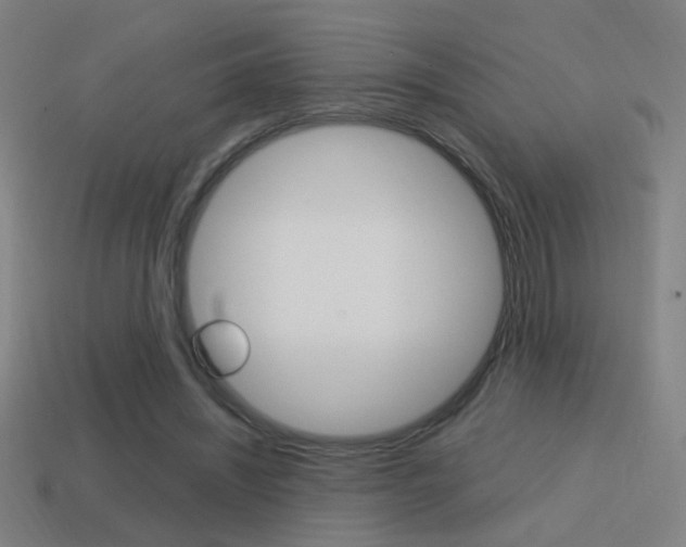 X0000114700444200910211012