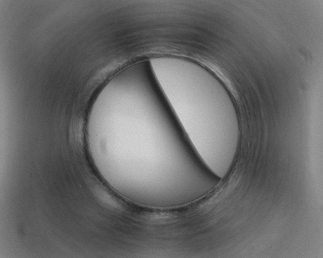 X0000114700445200910211012