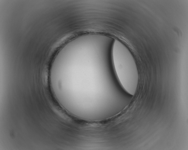 X0000114700446200910211012