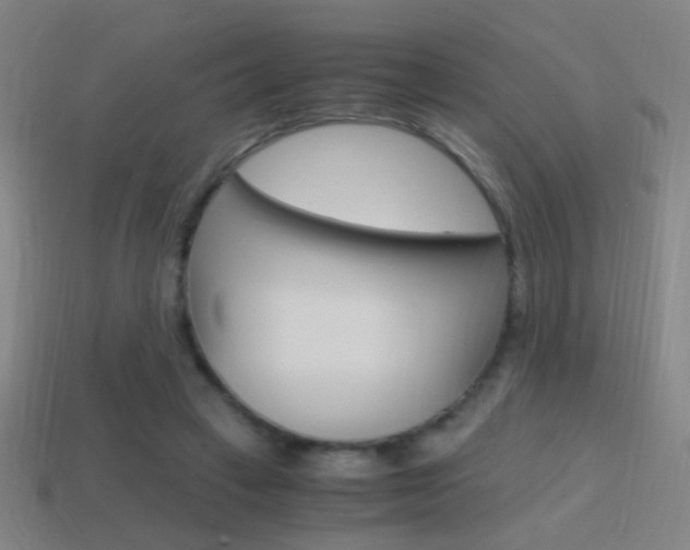 X0000114700449200910211012