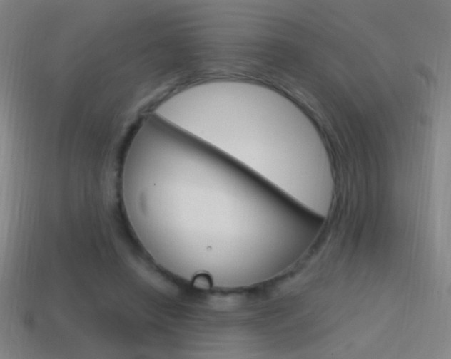 X0000114700450200910211012