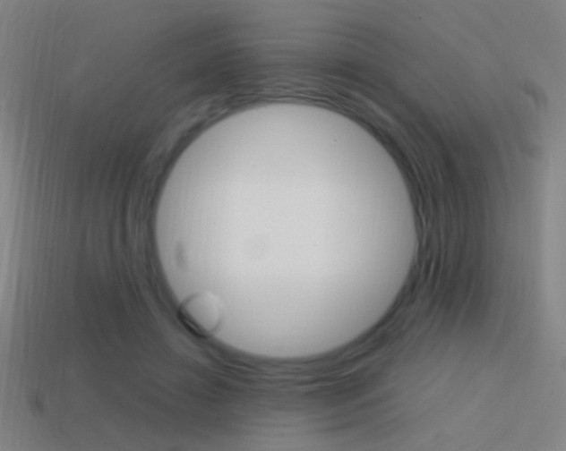 X0000114700452200910211012