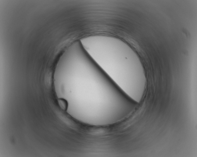 X0000114700454200910211012