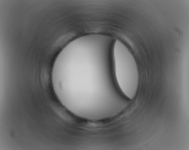 X0000114700455200910211012