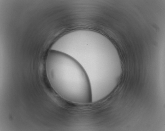 X0000114700456200910211012