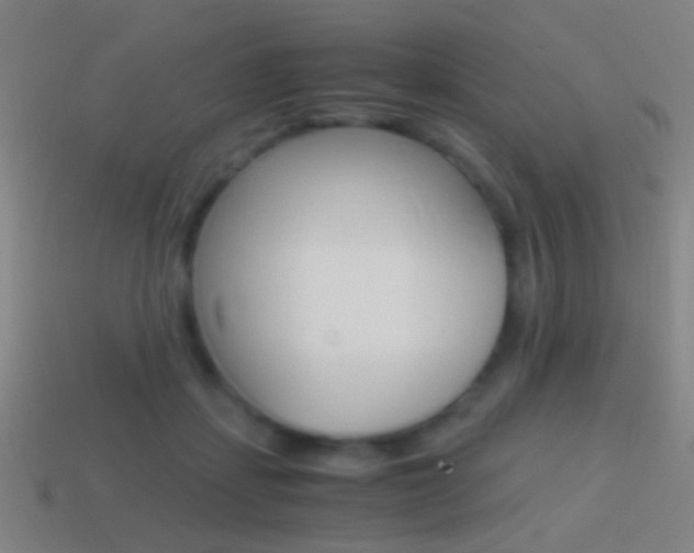 X0000114700459200910211012