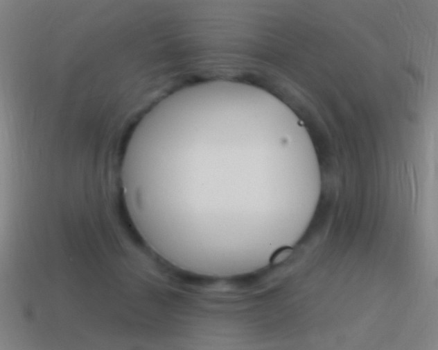 X0000114700460200910211013