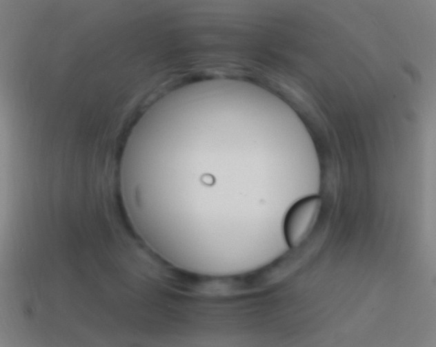 X0000114700461200910211013