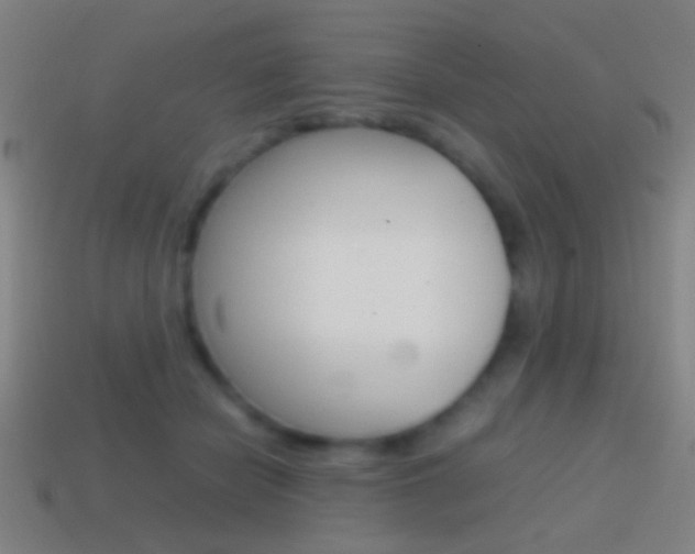 X0000114700462200910211013