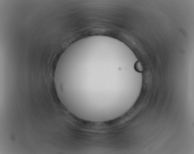 X0000114700463200910211013