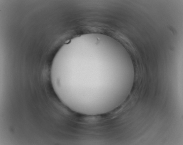 X0000114700465200910211013