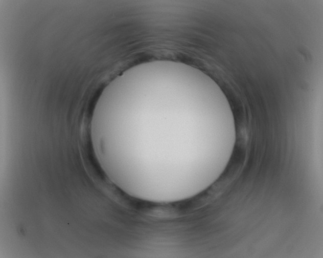 X0000114700468200910211013