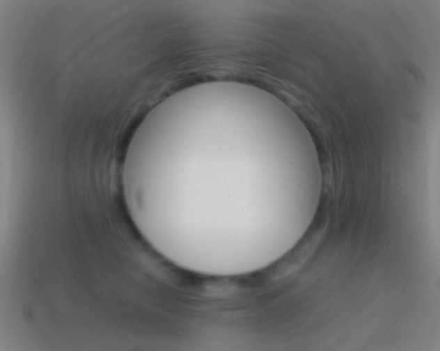 X0000114700470200910211013