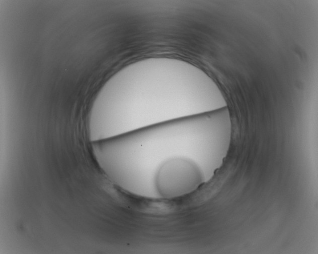 X0000114700475200910211013