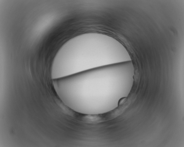 X0000114700477200910211013
