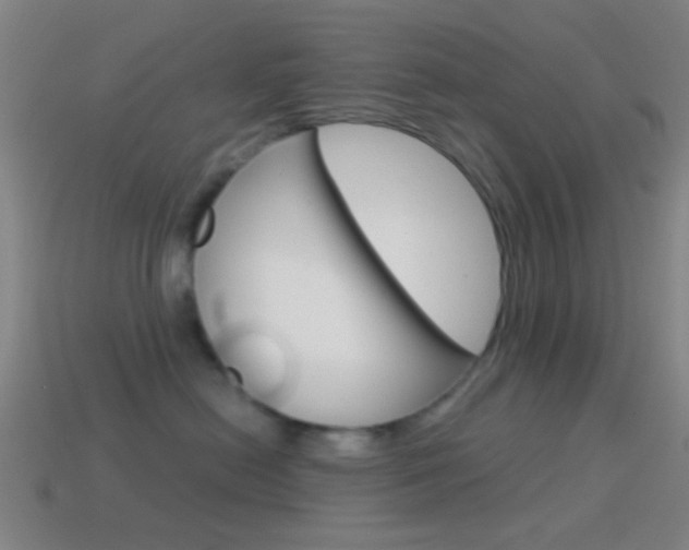 X0000114700478200910211013