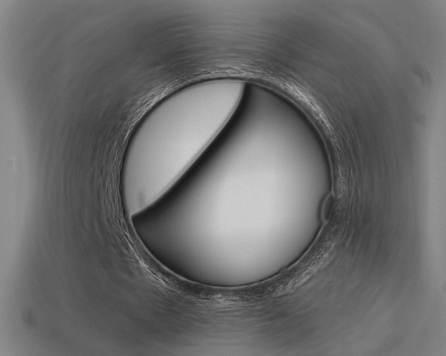 X0000114700481200910211012