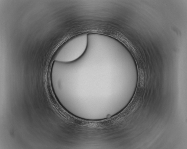 X0000114700482200910211012
