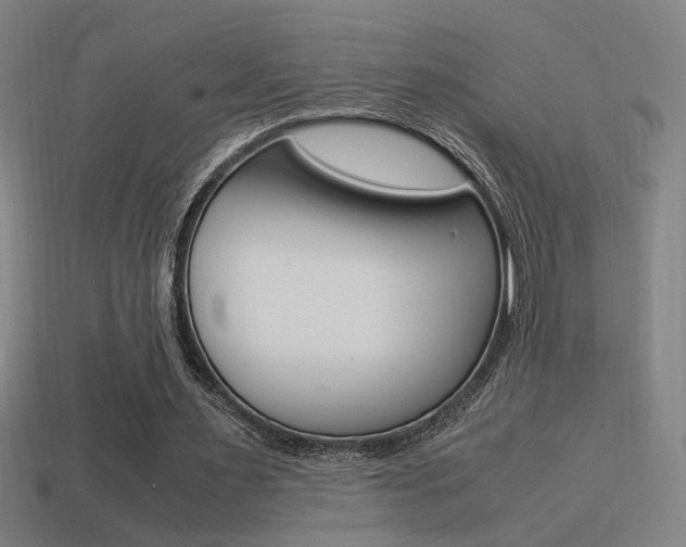 X0000114700483200910211012