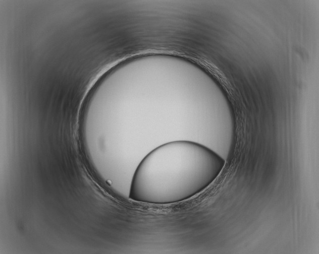 X0000114700484200910211012