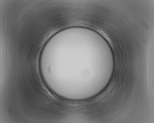 X0000114700485200910211012