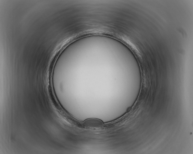 X0000114700486200910211012