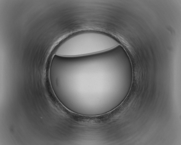 X0000114700488200910211012