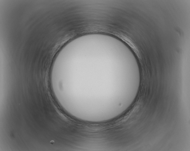 X0000114700489200910211012