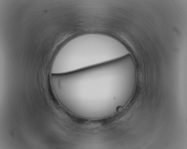 X0000114700491200910211012