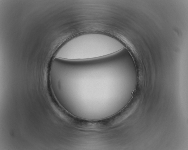 X0000114700493200910211012