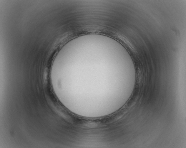 X0000114700494200910211012