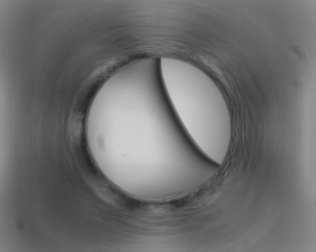 X0000114700495200910211012
