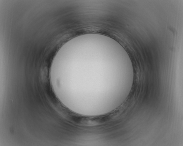 X0000114700498200910211012