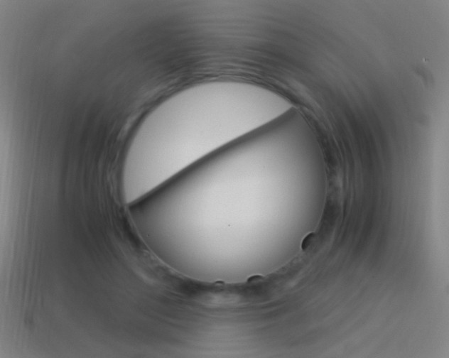X0000114700500200910211012