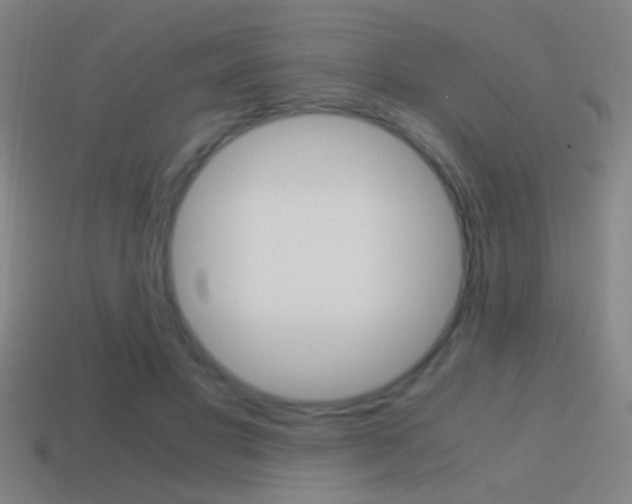 X0000114700501200910211012