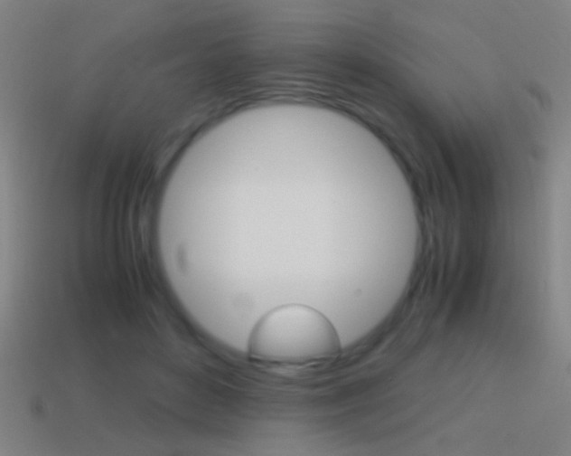 X0000114700504200910211012