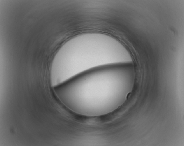 X0000114700505200910211012