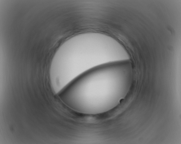 X0000114700509200910211012