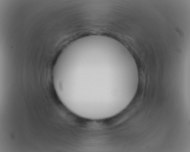 X0000114700511200910211012