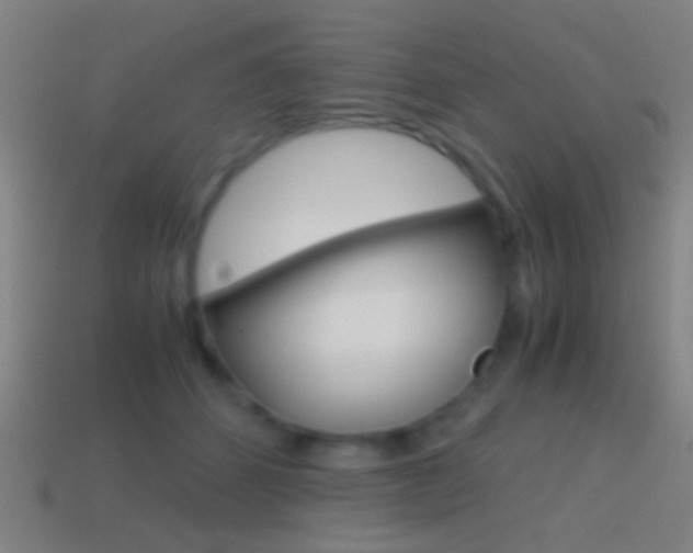 X0000114700512200910211012