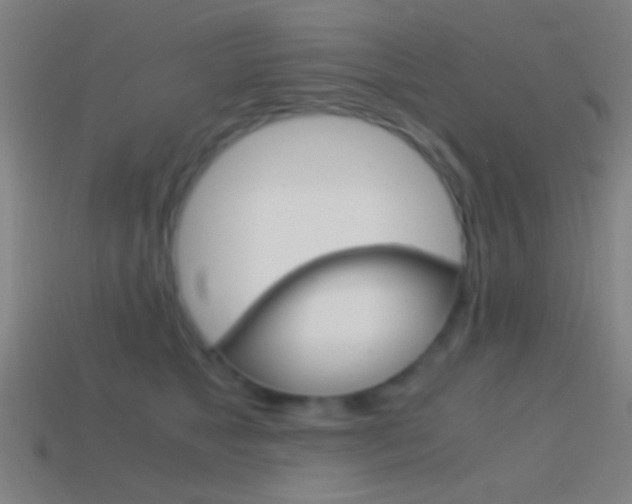 X0000114700517200910211012
